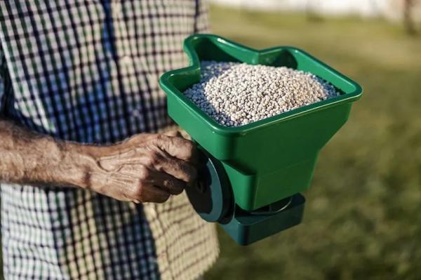 Удобрения для газона: чем подкормить газон весной, летом и осенью