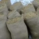 Выращивание грибов в домашних условиях: главные особенности и инструкция для новичков