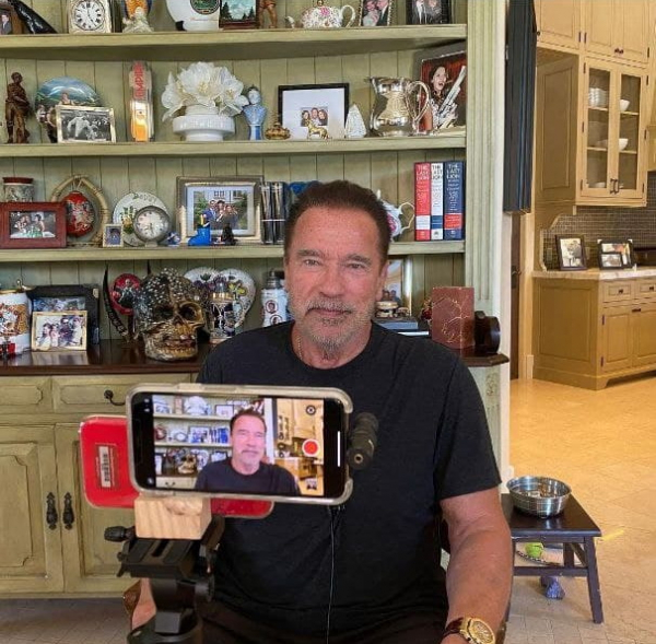 Дом Арнольда Шварценеггера: где живет железный Арни? Дом Арнольда Шварценеггера: где живет железный Арни?