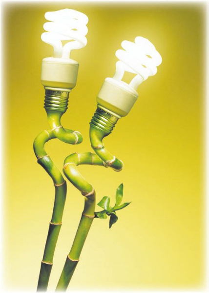 Виды электрических ламп Виды электрических ламп