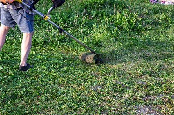 Как поставить диск на триммер: пошаговая инструкция по установке