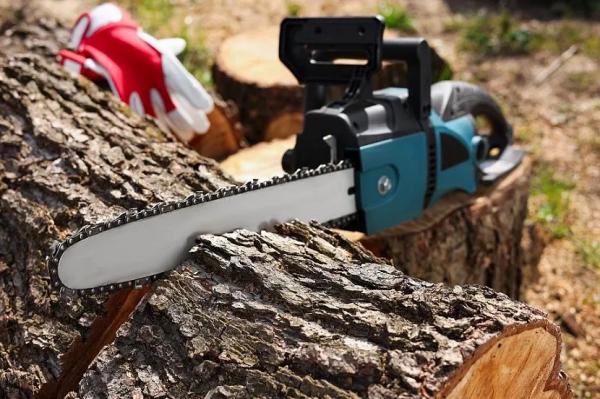 Обзор электропил цепных: конструктивные особенности, достоинства, критерии выбора, рейтинг надежности