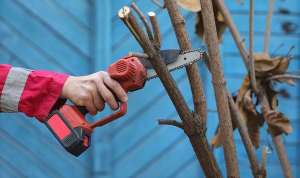 Цепные аккумуляторные мини пилы: рейтинг лучших по цене, качеству и отзывам