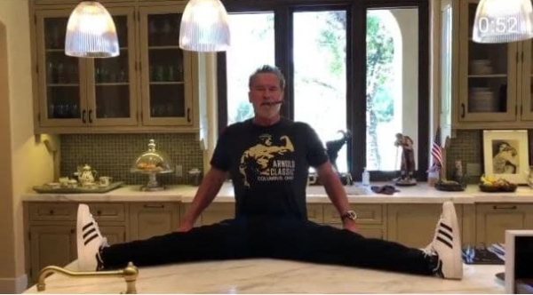 Дом Арнольда Шварценеггера: где живет железный Арни? Дом Арнольда Шварценеггера: где живет железный Арни?