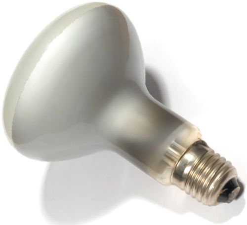 Виды электрических ламп Виды электрических ламп