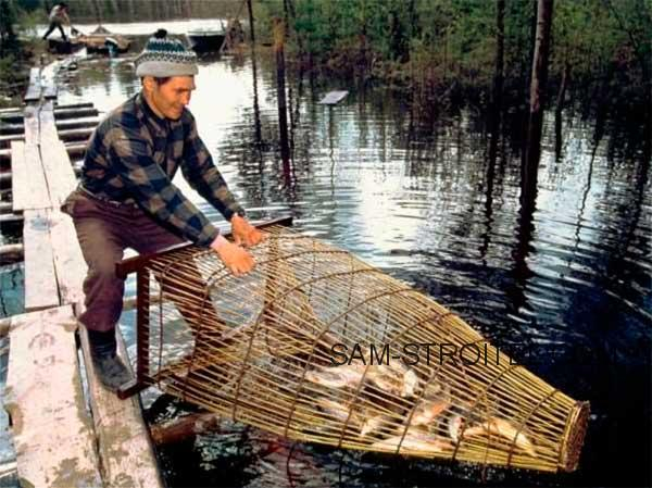 Верша для рыбалки своими руками: самодельная ловушка для рыбы Верша для рыбалки своими руками: самодельная ловушка для рыбы