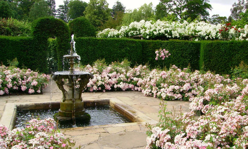 Английский стиль в ландшафтном дизайне: традиции и особенности Английский стиль в ландшафтном дизайне: традиции и особенности