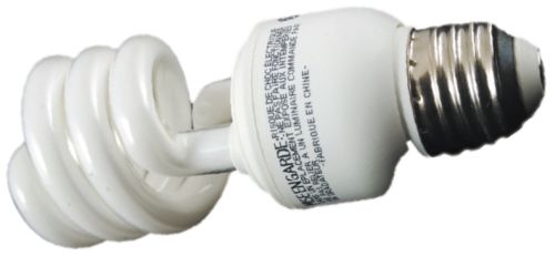 Виды электрических ламп Виды электрических ламп