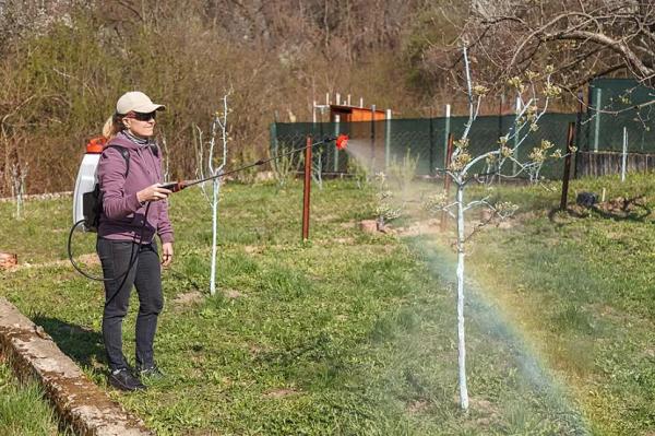 Как правильно заряжать аккумуляторный опрыскиватель