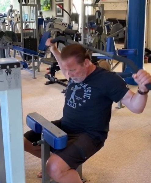 Дом Арнольда Шварценеггера: где живет железный Арни? Дом Арнольда Шварценеггера: где живет железный Арни?