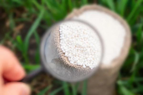 Удобрения для газона: чем подкормить газон весной, летом и осенью